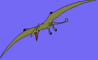 Rhamphorhynchoid pterosaur - long-tailed ropen