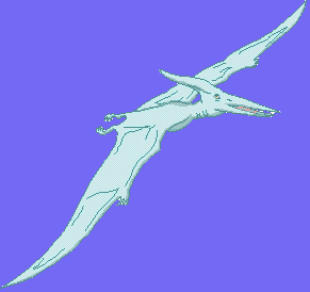 Pterosaurs Still Living